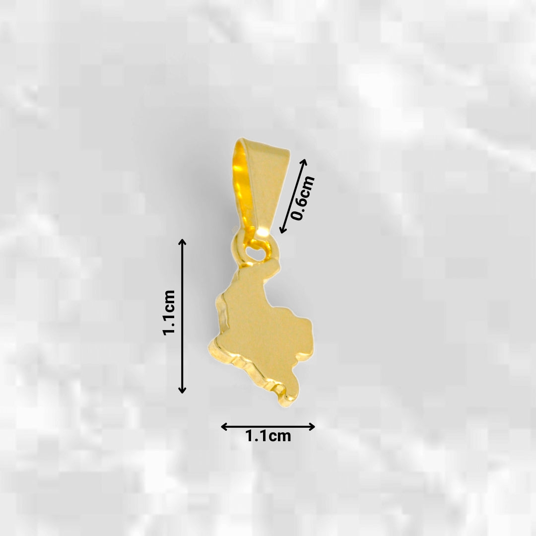 Dije Mapa de Colombia - J23204