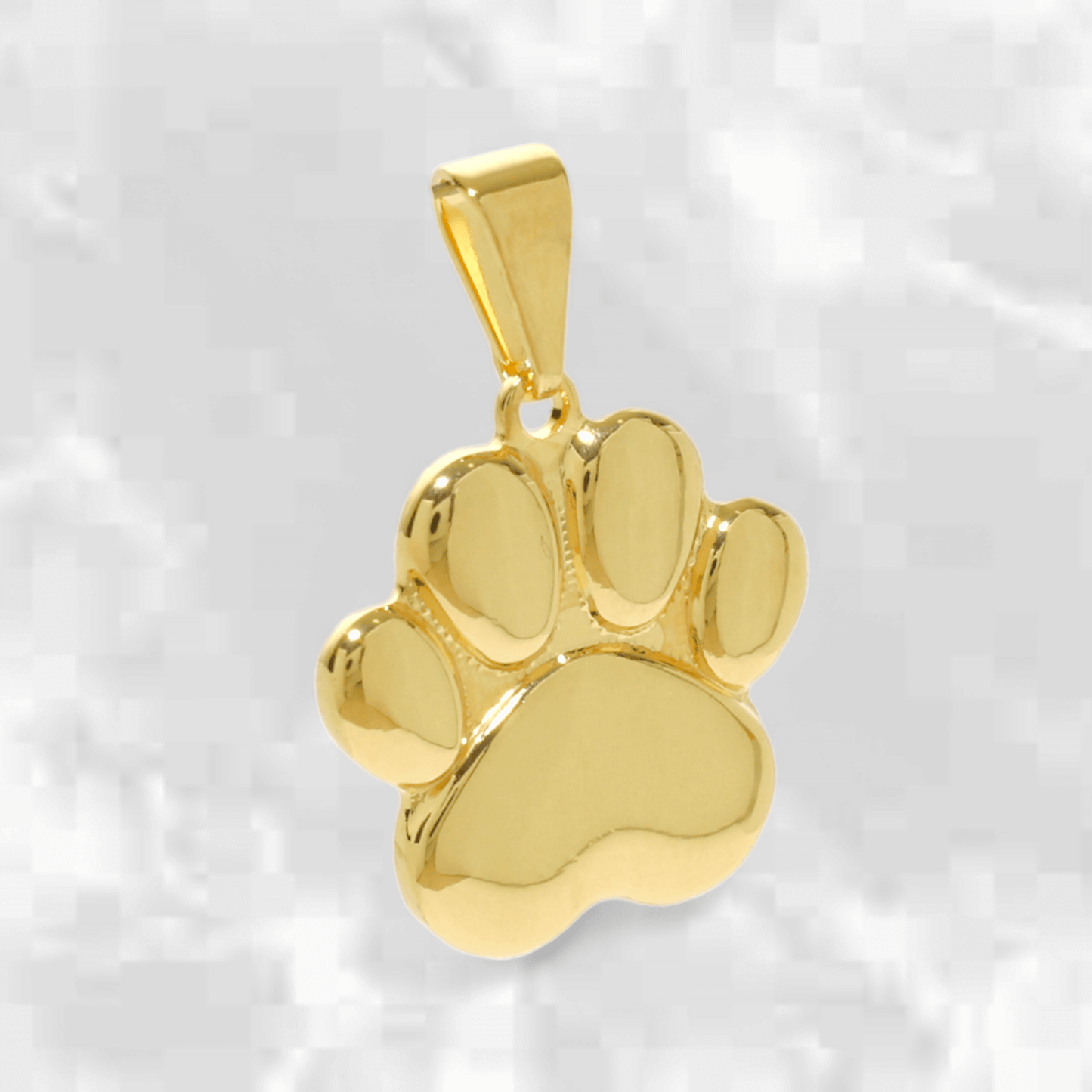 Dije Huella de Perro - J24441