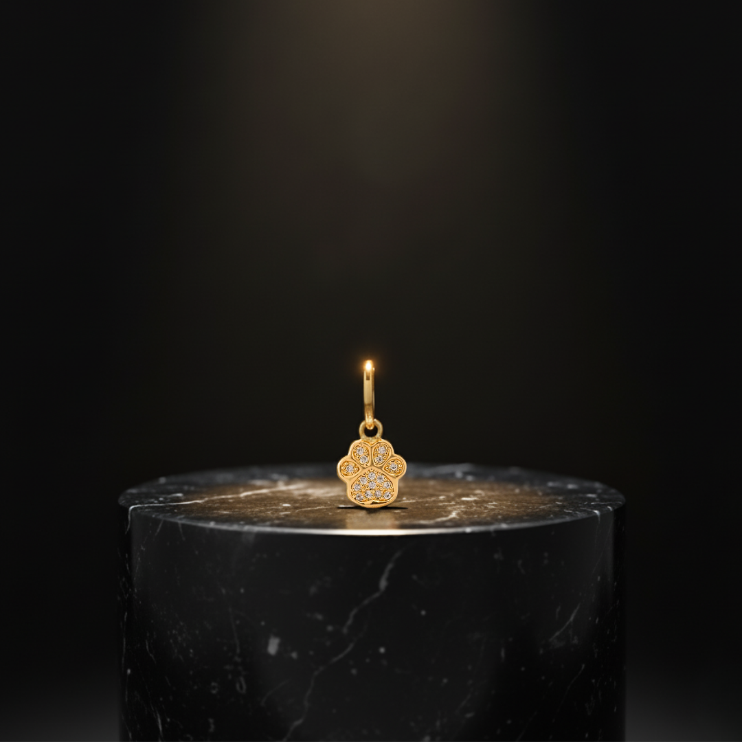 Dije Huelita con Circones