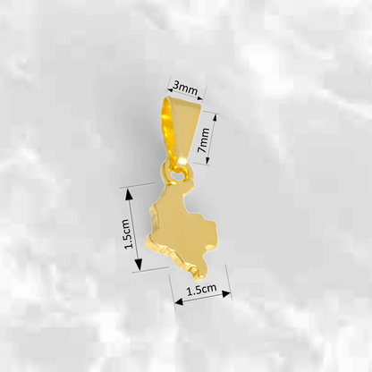 Dije Mapa de Colombia - J23204