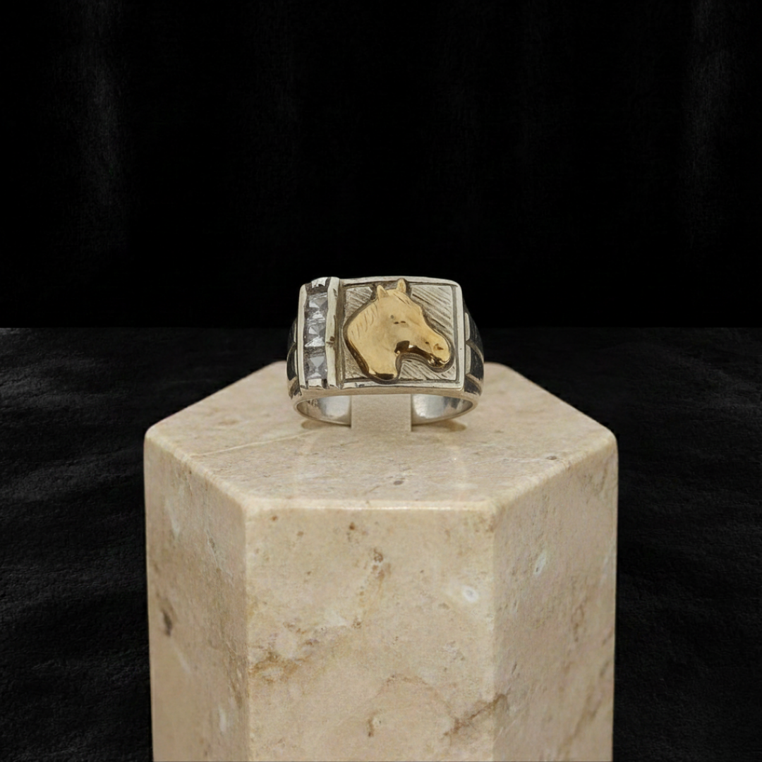 Anillo Poder Ecuestre
