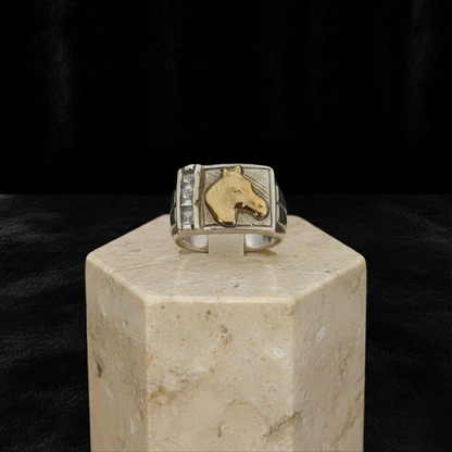 Anillo Poder Ecuestre