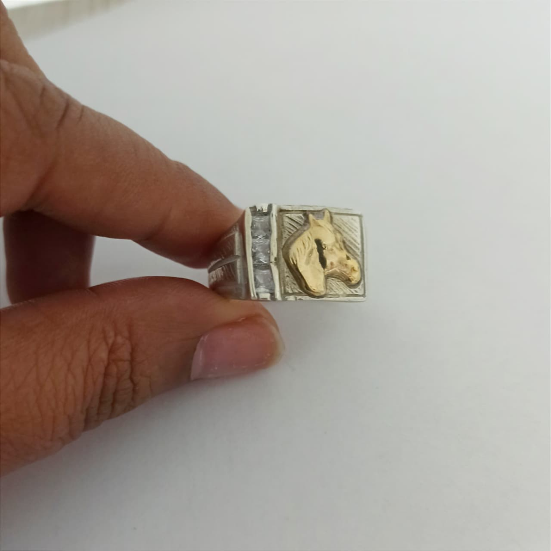 Anillo Poder Ecuestre