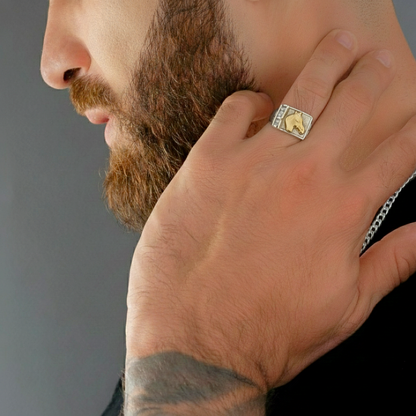 Anillo Poder Ecuestre