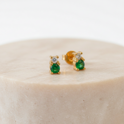 Topitos Ositos en Circones