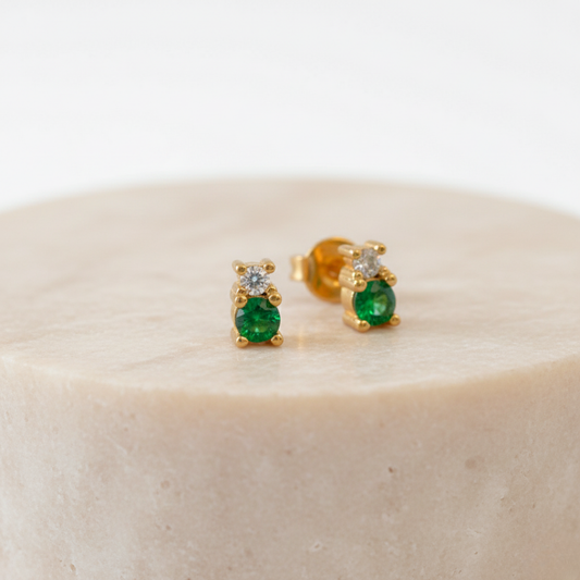 Topitos Ositos en Circones