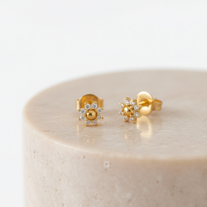 Topitos Copito de Nieve