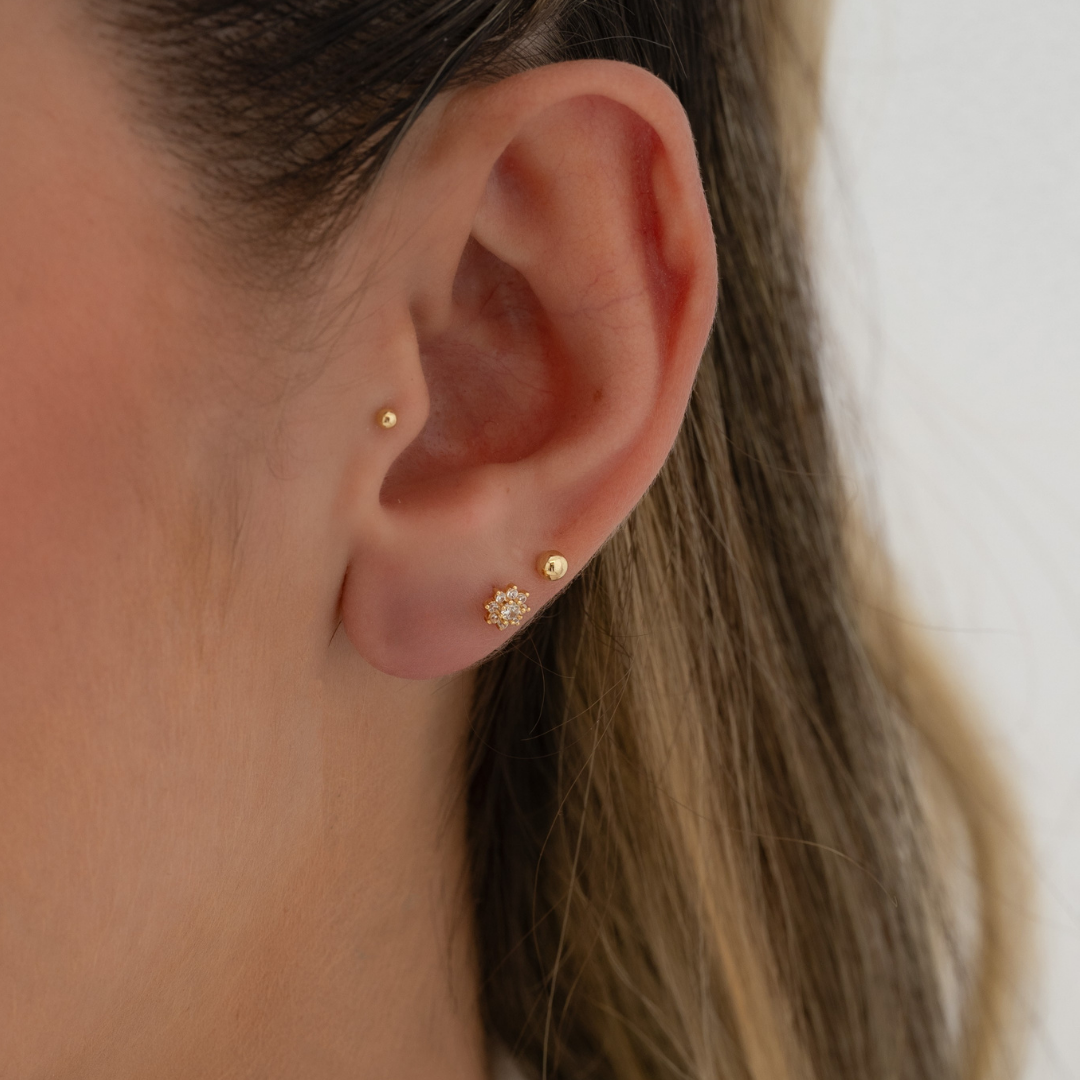 Topitos Copito de Nieve