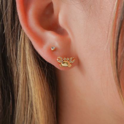 Topitos Cangrejitos Brillantes