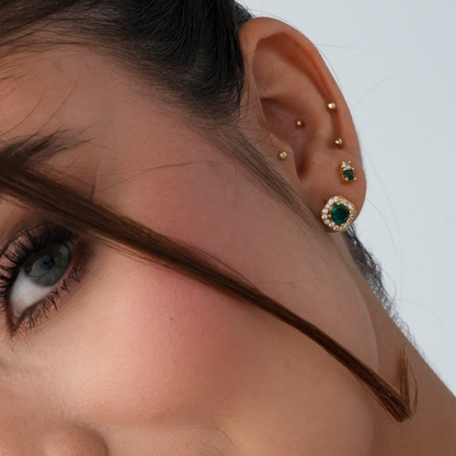 Topitos Ositos en Circones