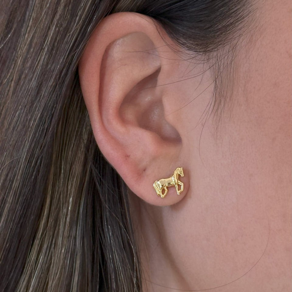 Topitos Caballo Paso Firme