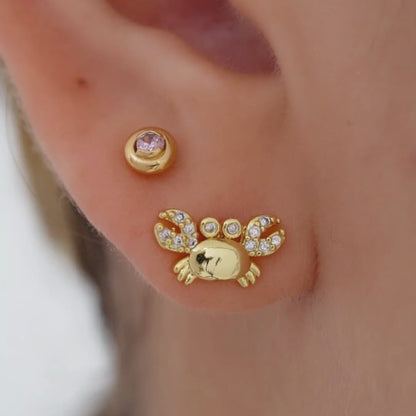 Topitos Cangrejitos Brillantes